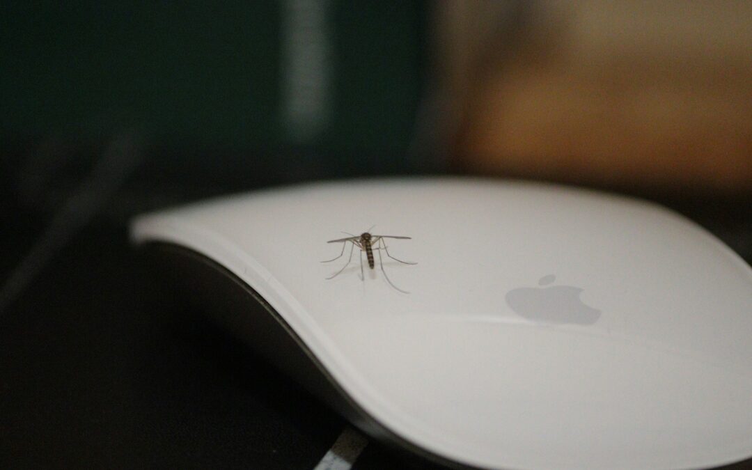 5 Expert-Recommended Ways to Prevent Pests This Spring