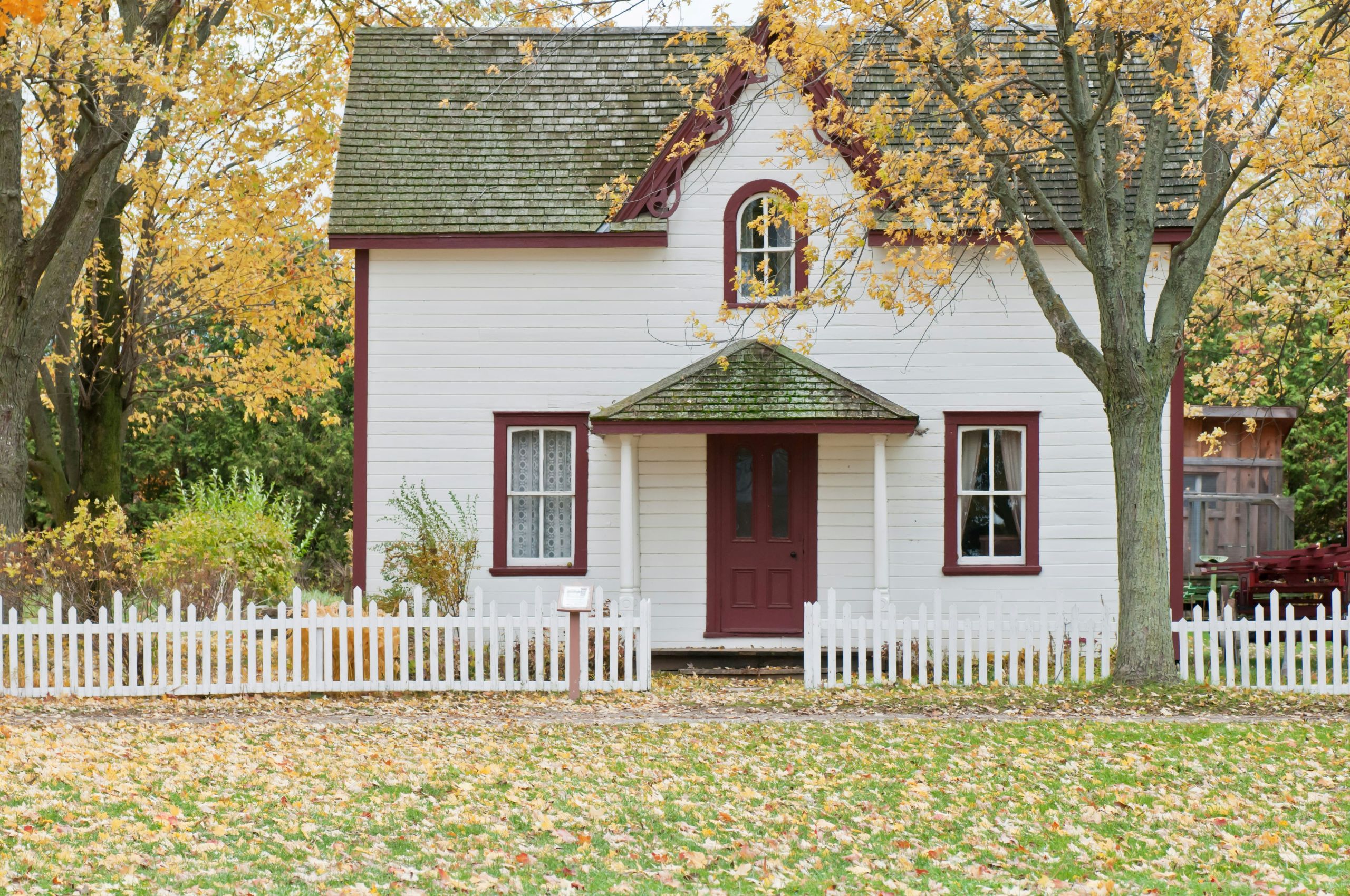 A small white house with red trim and a steep roof sits behind a white picket fence. Autumn trees surround the house, while fallen leaves—potential shelters for overwintering pests—cover the grass in the front yard.