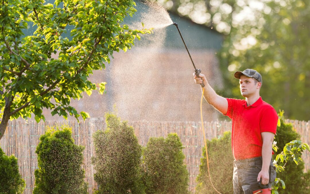 Why February Pest Treatments Are Essential