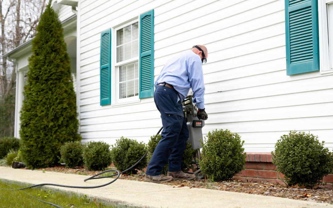 Why Spring Is the Best Time for Professional Pest Control